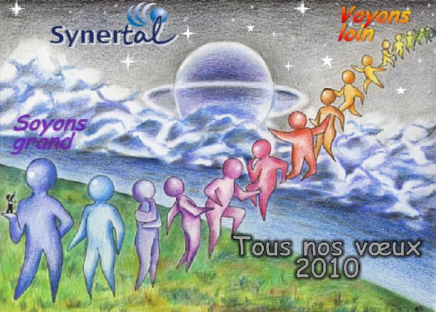 voeux 2010-carte synertal