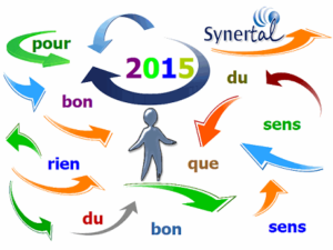 Lire la suite à propos de l’article Voeux 2015 « du bon sens, rien que du bon sens » –